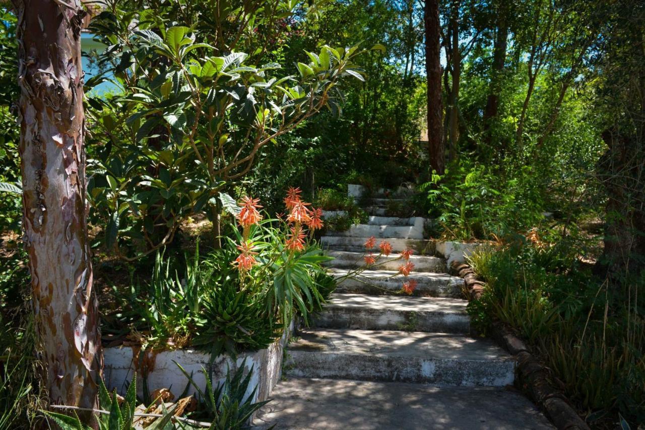 La Barranca De La Barca Bed & Breakfast Alora Exterior photo